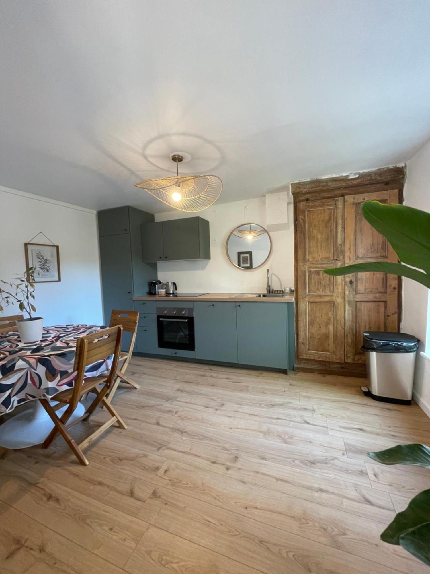 Charmante maison à Vienne avec jardin, prox Lyon Vienne (Isere) Exterior foto