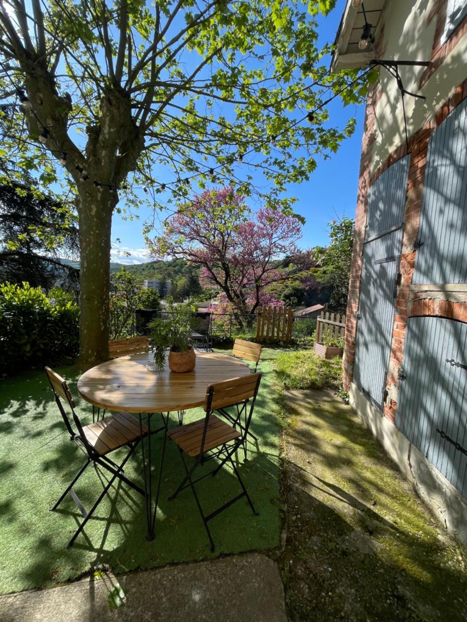 Charmante maison à Vienne avec jardin, prox Lyon Vienne (Isere) Exterior foto