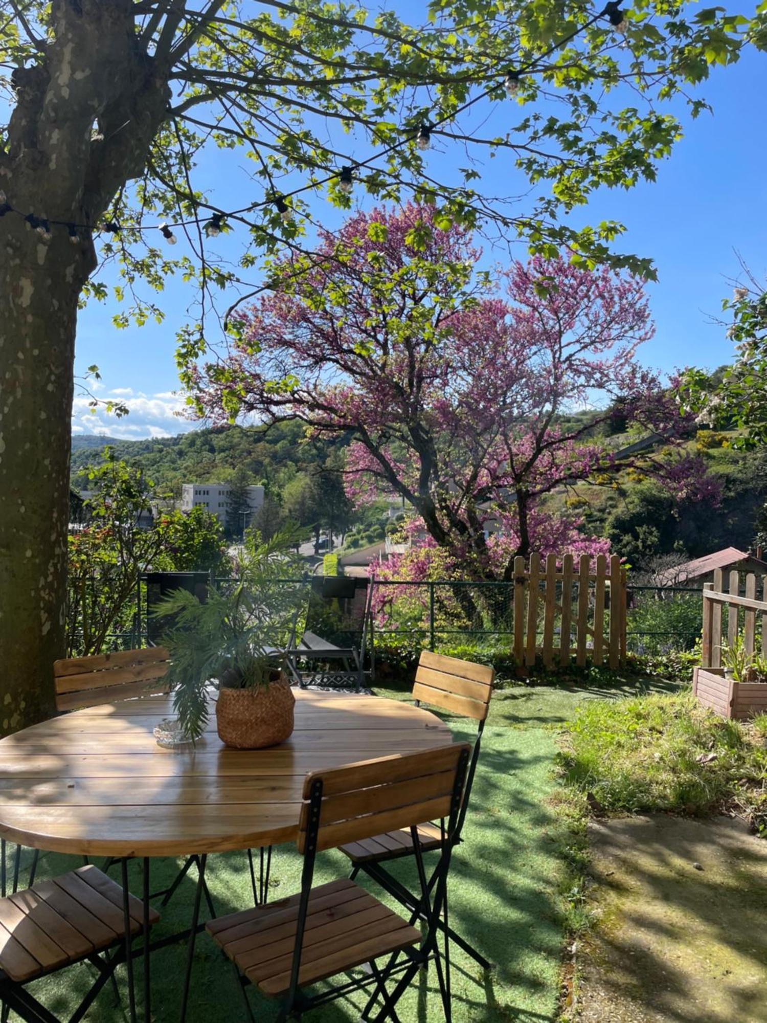 Charmante maison à Vienne avec jardin, prox Lyon Vienne (Isere) Exterior foto